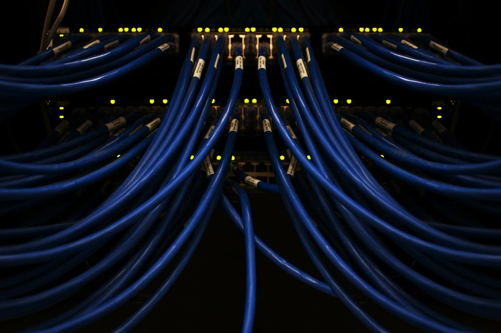 Network cables connected to a switch